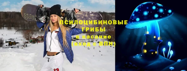 a pvp Богданович
