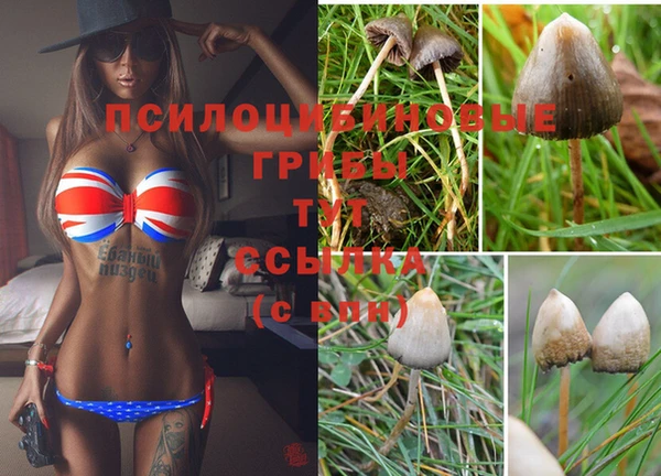 спайс Богородицк
